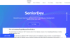 SeniorDev
