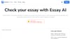 Essay Checker