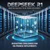 DeepSeek R1: Budgeting Challenges for On-Premise Deployments