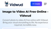 Vidwud