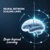 Neural Network Scaling Laws and Brain-Inspired Learning