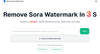 RemoveSoraWatermark in 3s