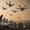 Germany Deploys AI-Powered Drones to Combat Wildfires