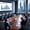 Large Enterprises Could Be Wavering on AI Adoption