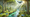 Embracing AI: Understanding and Utilizing Artificial Intelligence in Nature